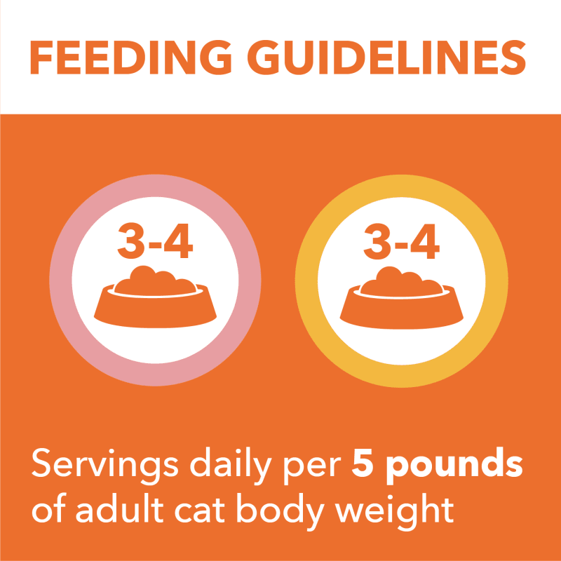 IAMS™ PERFECT PORTIONS™ Healthy Adult Pate Wet Cat Food, Variety Recipe feeding guidelines image