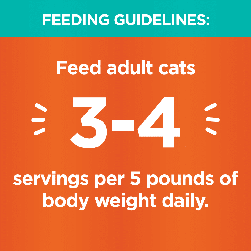 IAMS™ PERFECT PORTIONS™ HEALTHY ADULT PATÉ - TUNA RECIPE feeding guidelines image