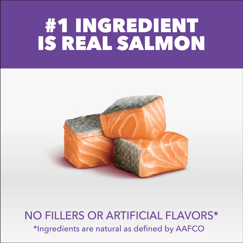 IAMS™ Proactive Health Salmon Dry Kitten Food Recipe guaranteed analysis image