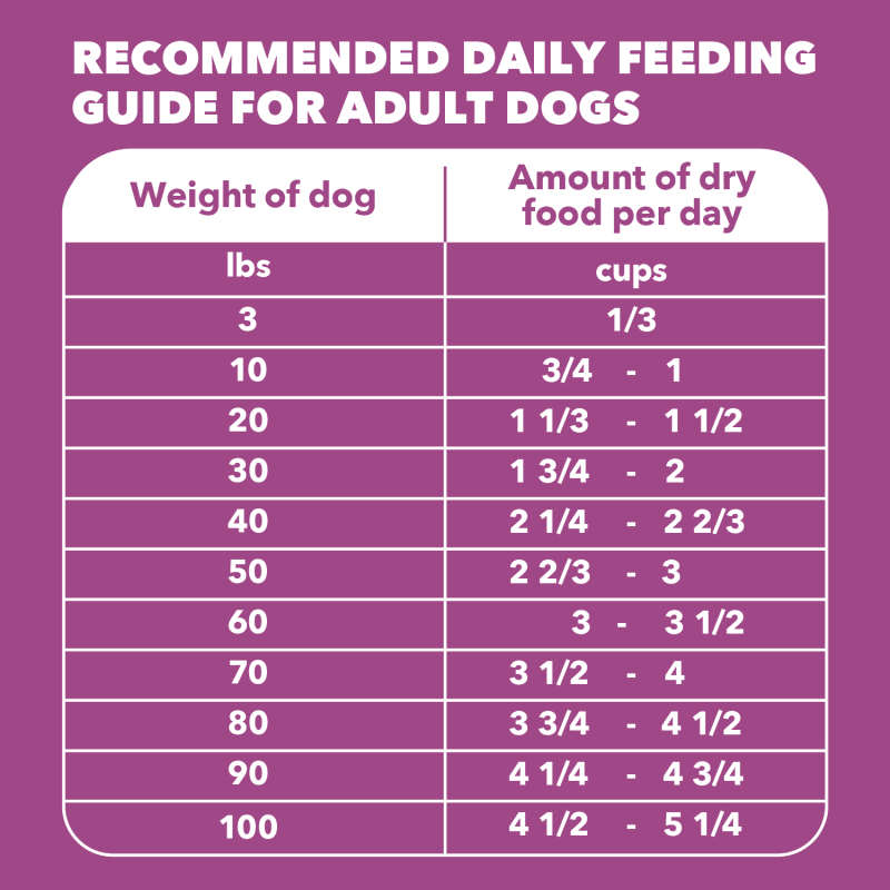 IAMS Proactive Health Healthy Aging Chicken & Whole Grain Recipe Dry Dog Food, (4) 5 Lb Bags feeding guidelines image