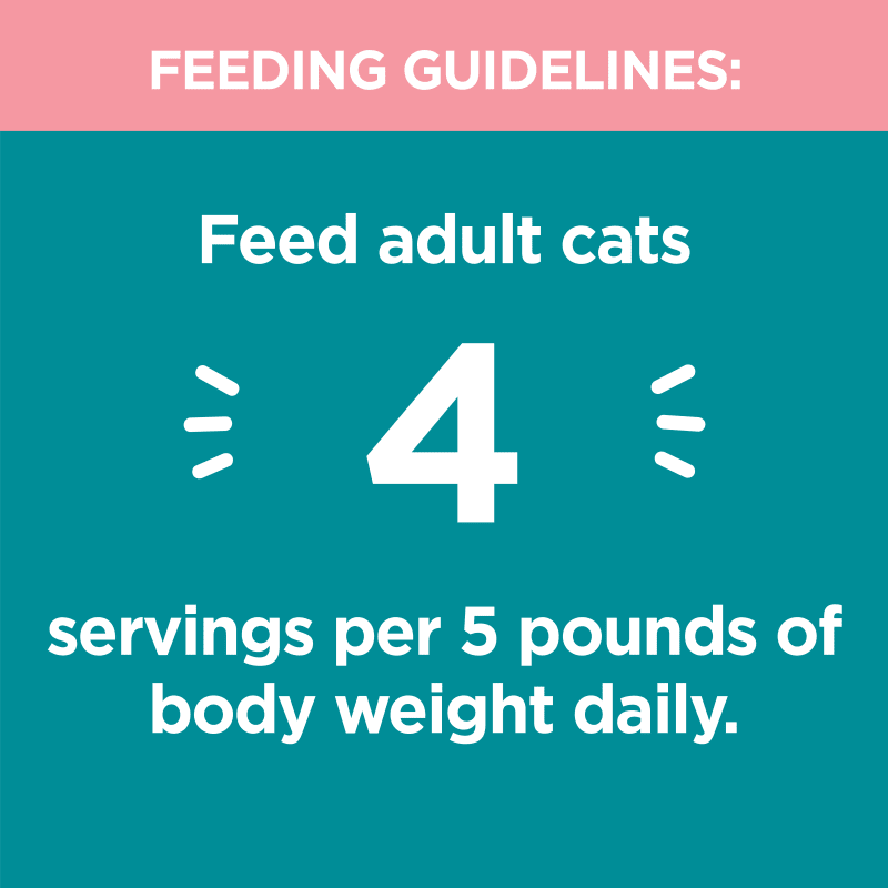 IAMS™ PERFECT PORTIONS™  INDOOR CUTS IN GRAVY - SALMON RECIPE feeding guidelines image