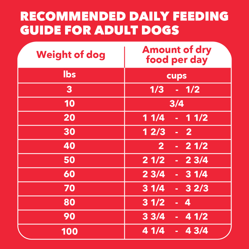 IAMS Proactive Health Adult Minichunks Lamb & Rice Recipe Dry Dog Food, (4) 5 Lb Bags feeding guidelines image