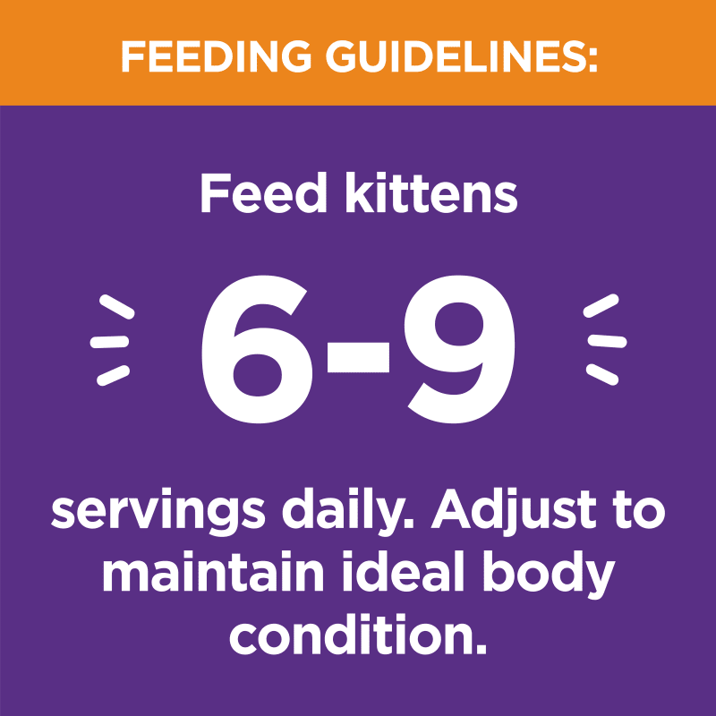 IAMS™ PERFECT PORTIONS™ HEALTHY KITTEN CUTS IN GRAVY - CHICKEN RECIPE feeding guidelines image