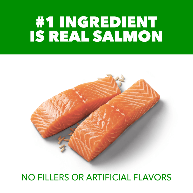Proactive Health Sensitive Skin & Stomach Adult Dry Dog Food Salmon ingredients image