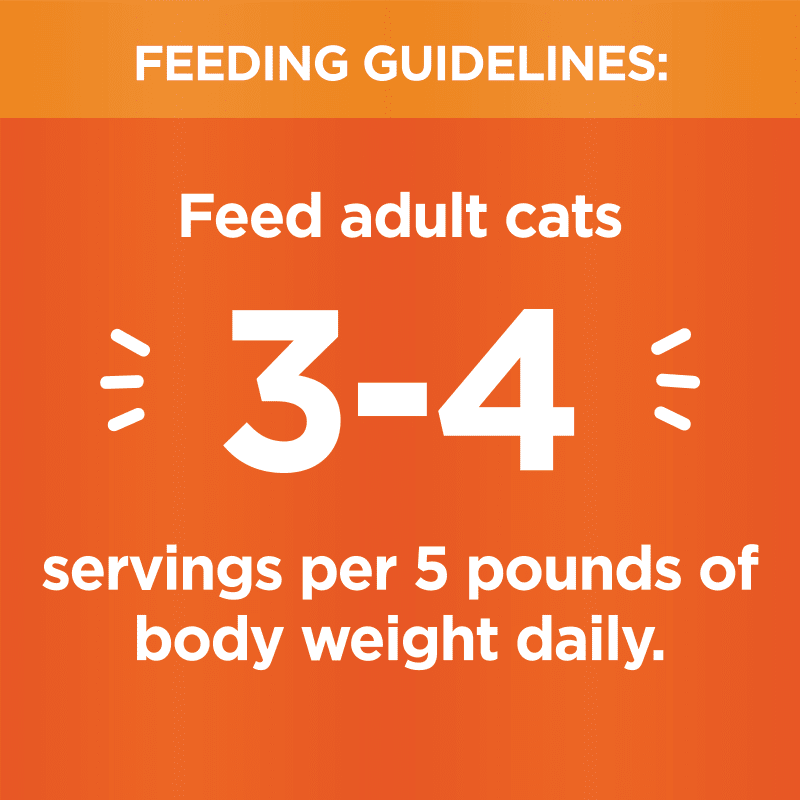 IAMS™ PERFECT PORTIONS™ HEALTHY ADULT PATÉ - CHICKEN RECIPE feeding guidelines image