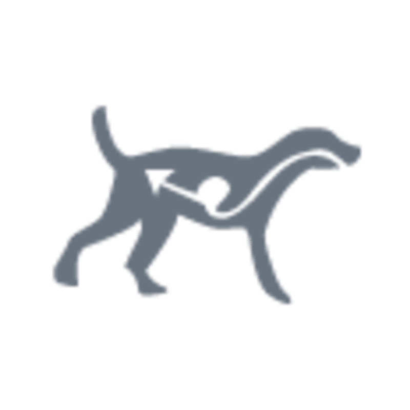 IAMS™ ADVANCED HEALTH™ SKIN & COAT benefits image 3