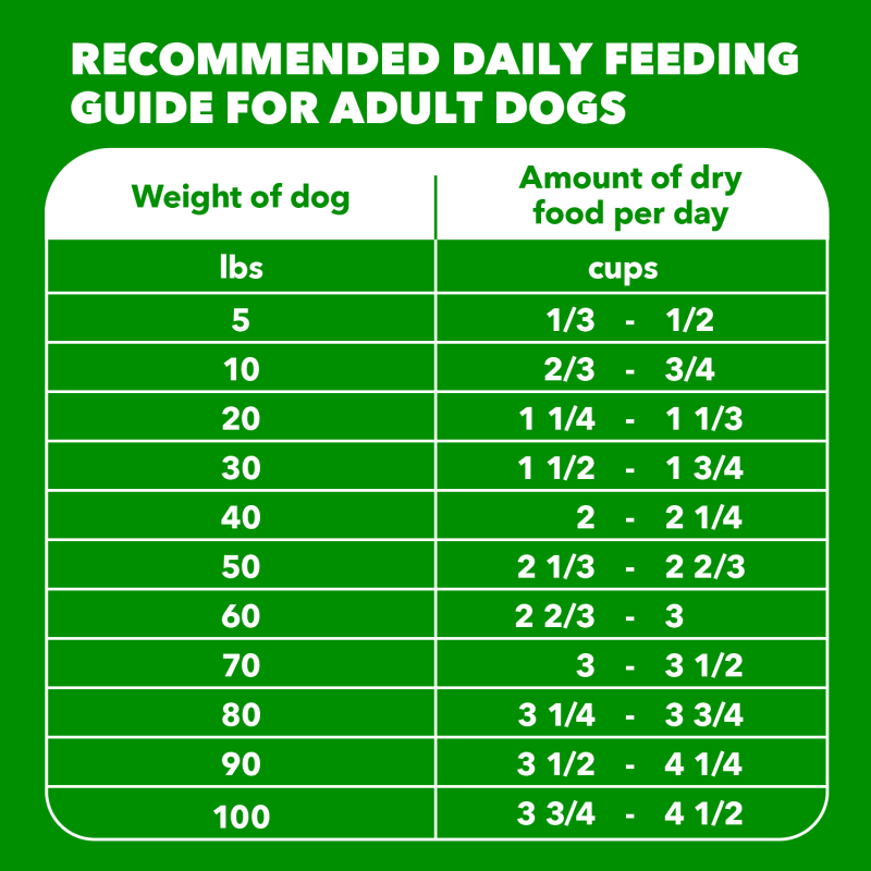 Proactive Health Sensitive Skin & Stomach Adult Dry Dog Food Salmon feeding guidelines image