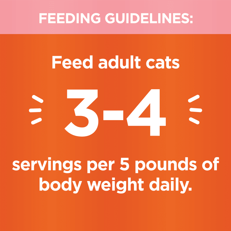 IAMS™ PERFECT PORTIONS™ HEALTHY ADULT PATÉ - SALMON RECIPE feeding guidelines image