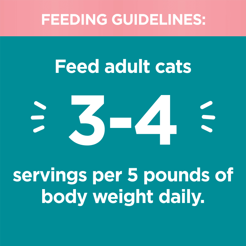 IAMS™ PERFECT PORTIONS™ INDOOR PATÉ - SALMON RECIPE feeding guidelines image