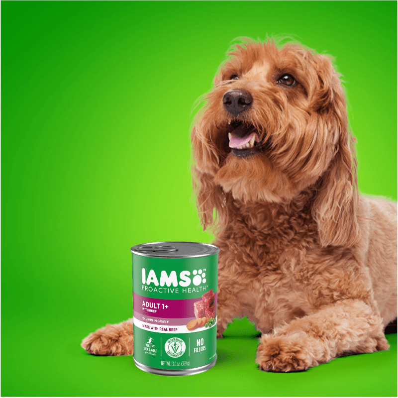 IAMS™ ADULT CHICKEN AND BEEF CHUNKS IN GRAVY VARIETY PACK guaranteed analysis image