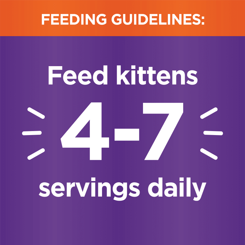 IAMS™ PERFECT PORTIONS™ HEALTHY KITTEN PATÉ - CHICKEN RECIPE feeding guidelines image