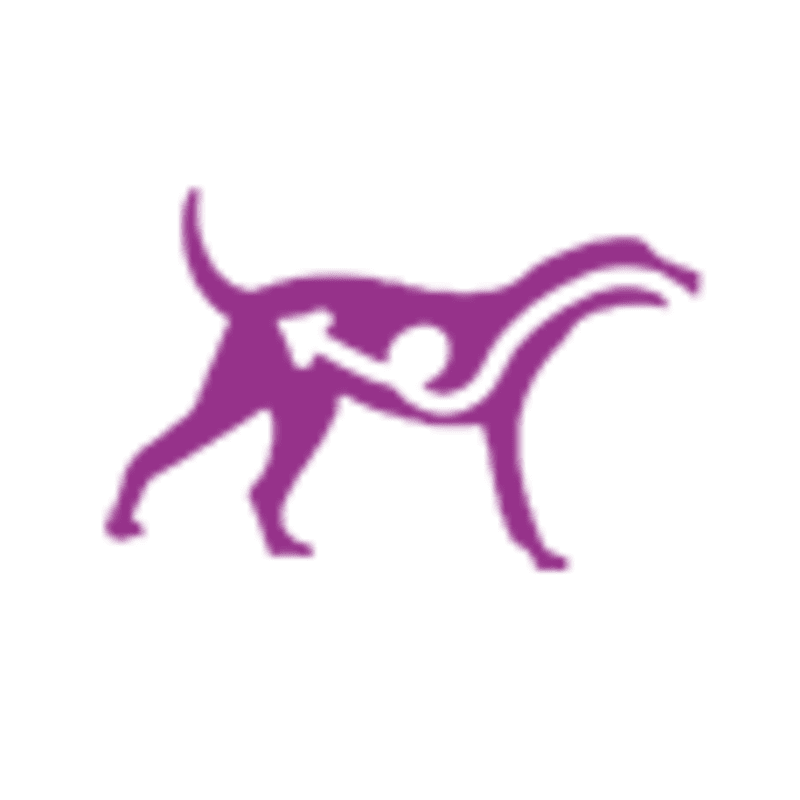 IAMS™ HEALTHY AGING benefits image 4
