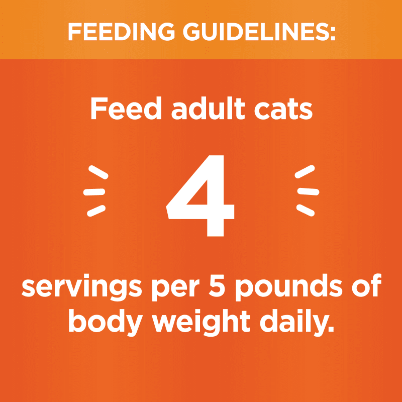 IAMS™ PERFECT PORTIONS™ HEALTHY ADULT CUTS IN GRAVY - CHICKEN RECIPE feeding guidelines image