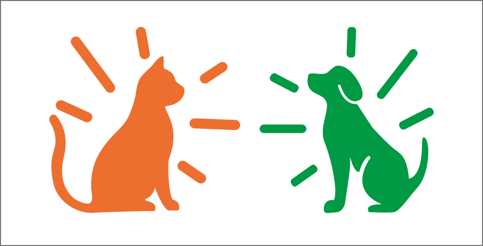 Pet image
